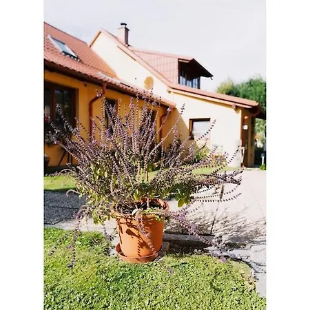 U Kaplicky Kamýk nad Vltavou