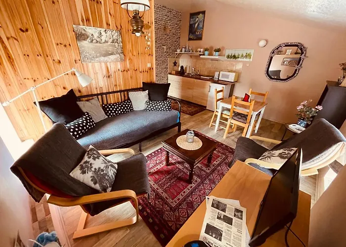 U Kaplicky Appartement